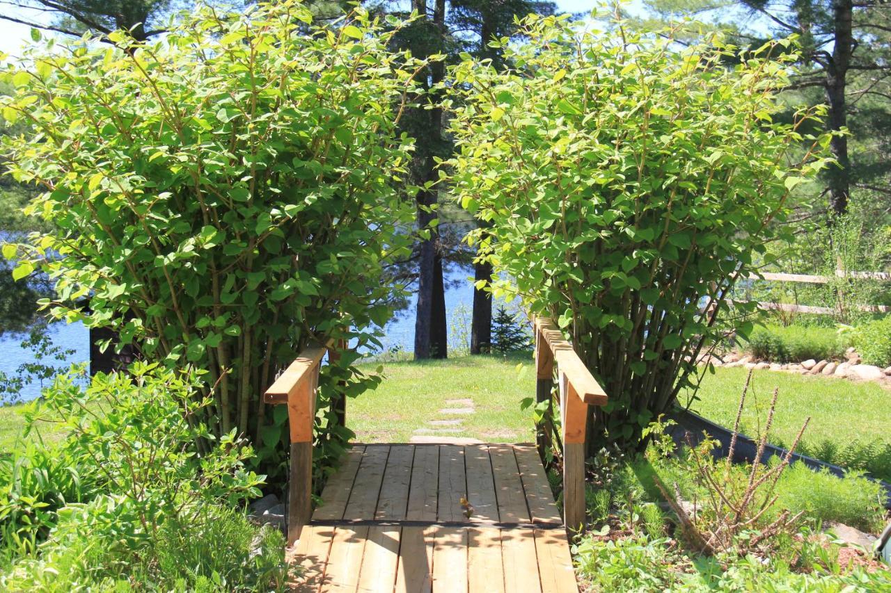 Spring Lake Resort Dwight Exterior foto