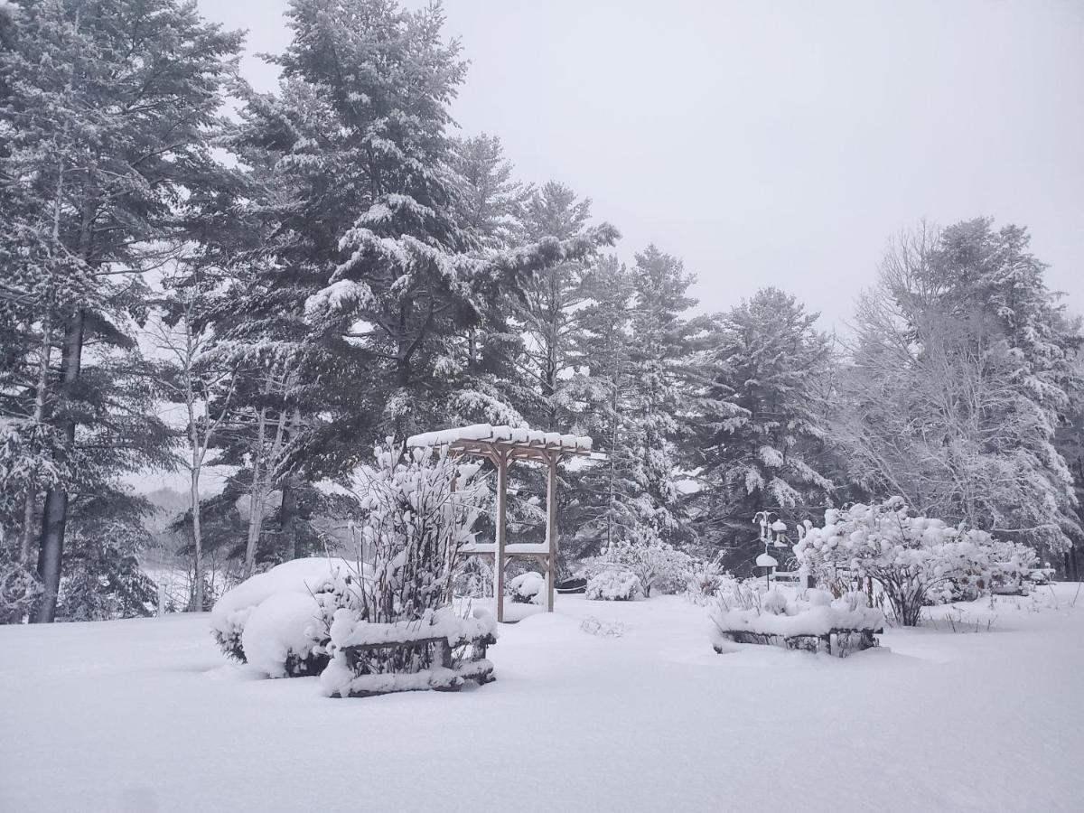 Spring Lake Resort Dwight Exterior foto