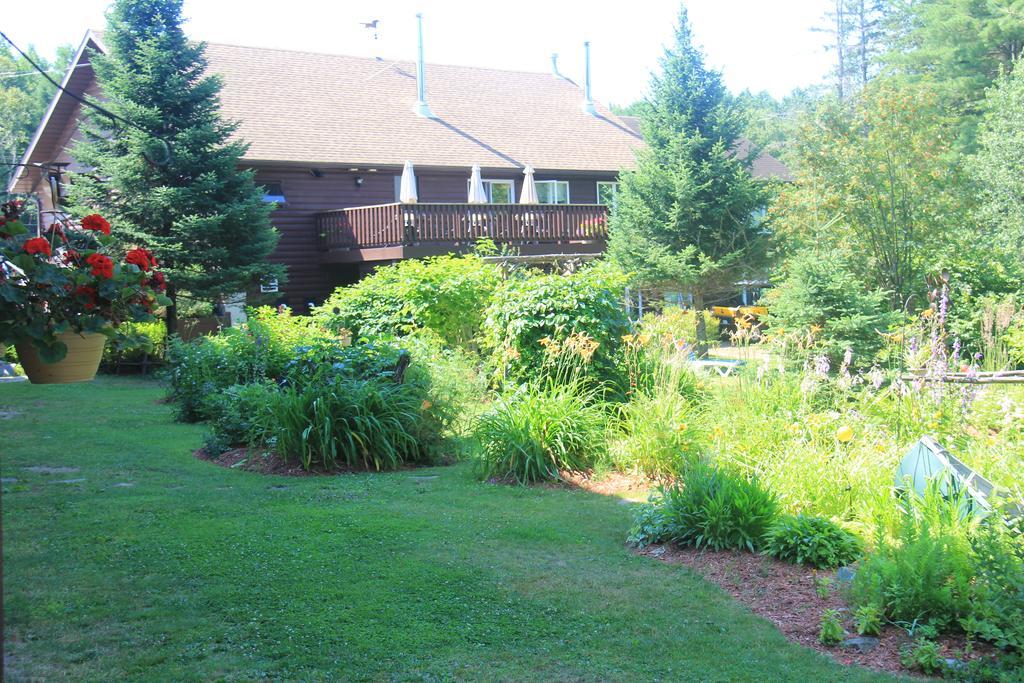Spring Lake Resort Dwight Exterior foto